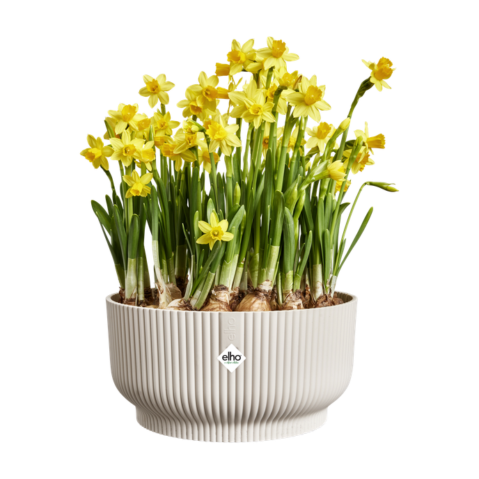 vibes fold bowl 25cm linen white